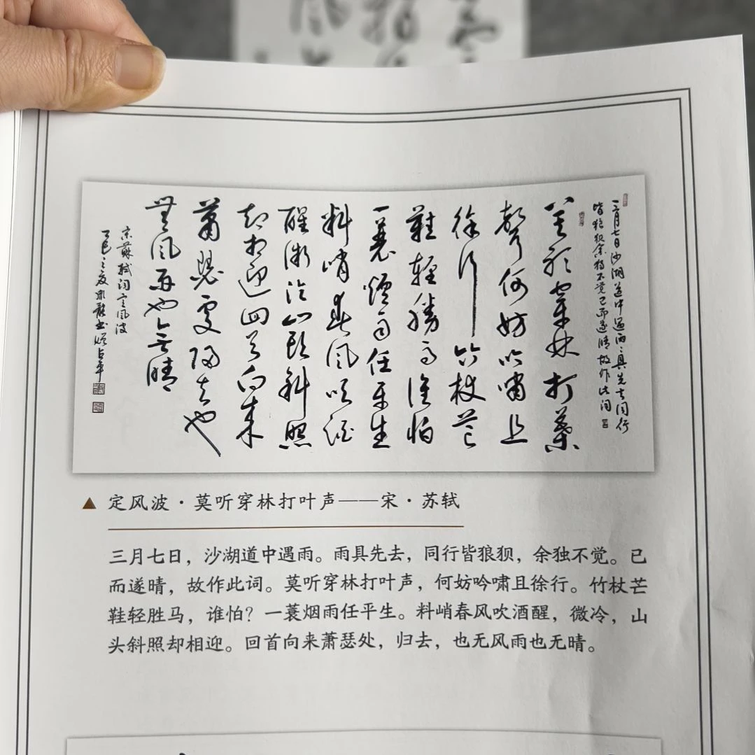 书法彭胤龙书法作品