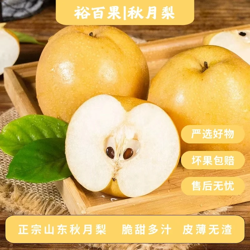 裕百果山东秋月梨当季新鲜水果脆甜多汁细腻无渣