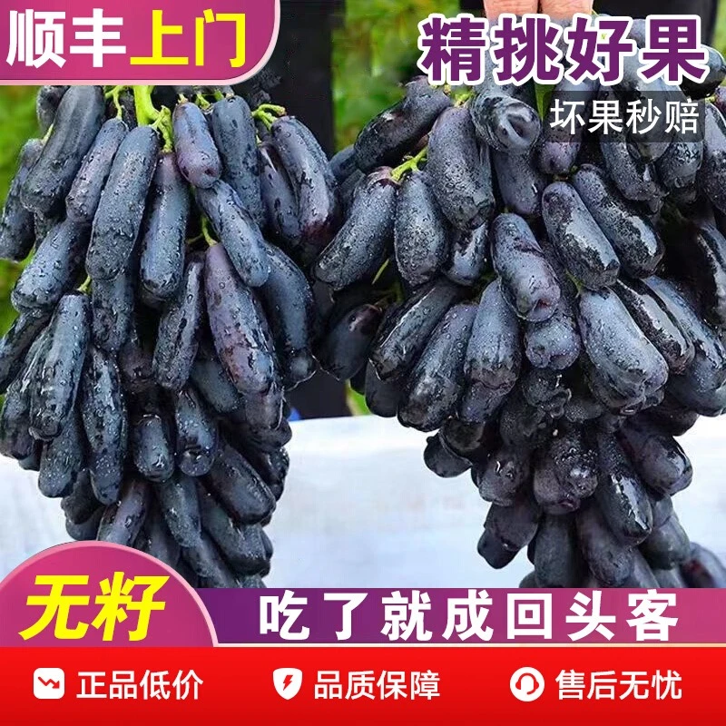 A顺丰快递蓝宝石葡萄佛手指无籽无核脆甜爽口汁水多包邮