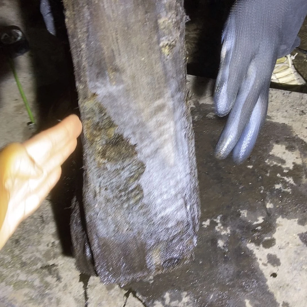 金丝楠阴沉木毛料