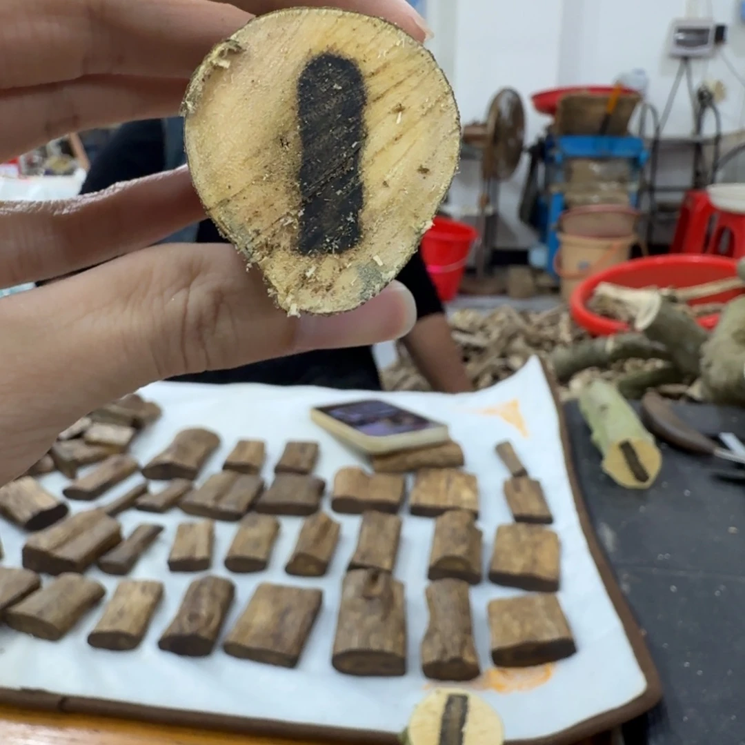 线香沉香奇楠原木