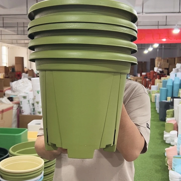 青山口32高28果绿色5个无托