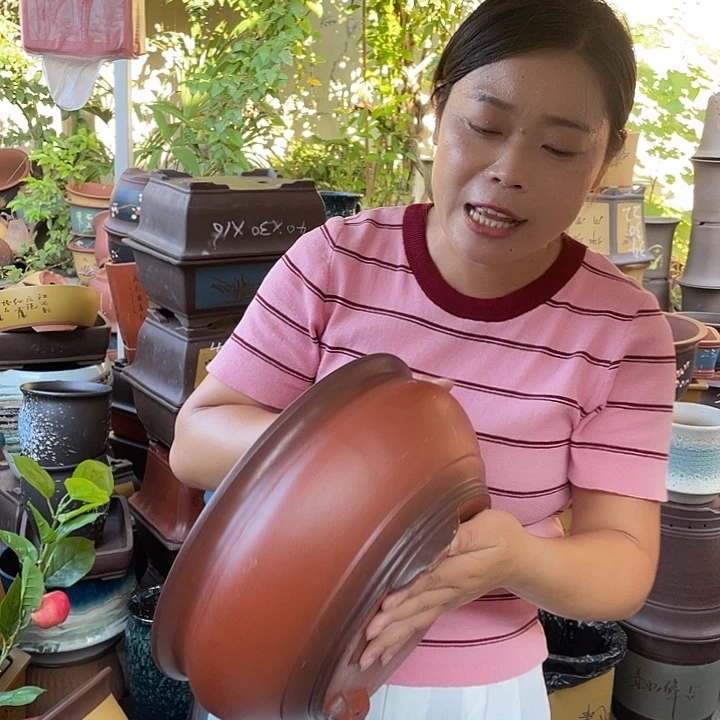 仿古鱼缸小花盆紫砂花盆紫砂