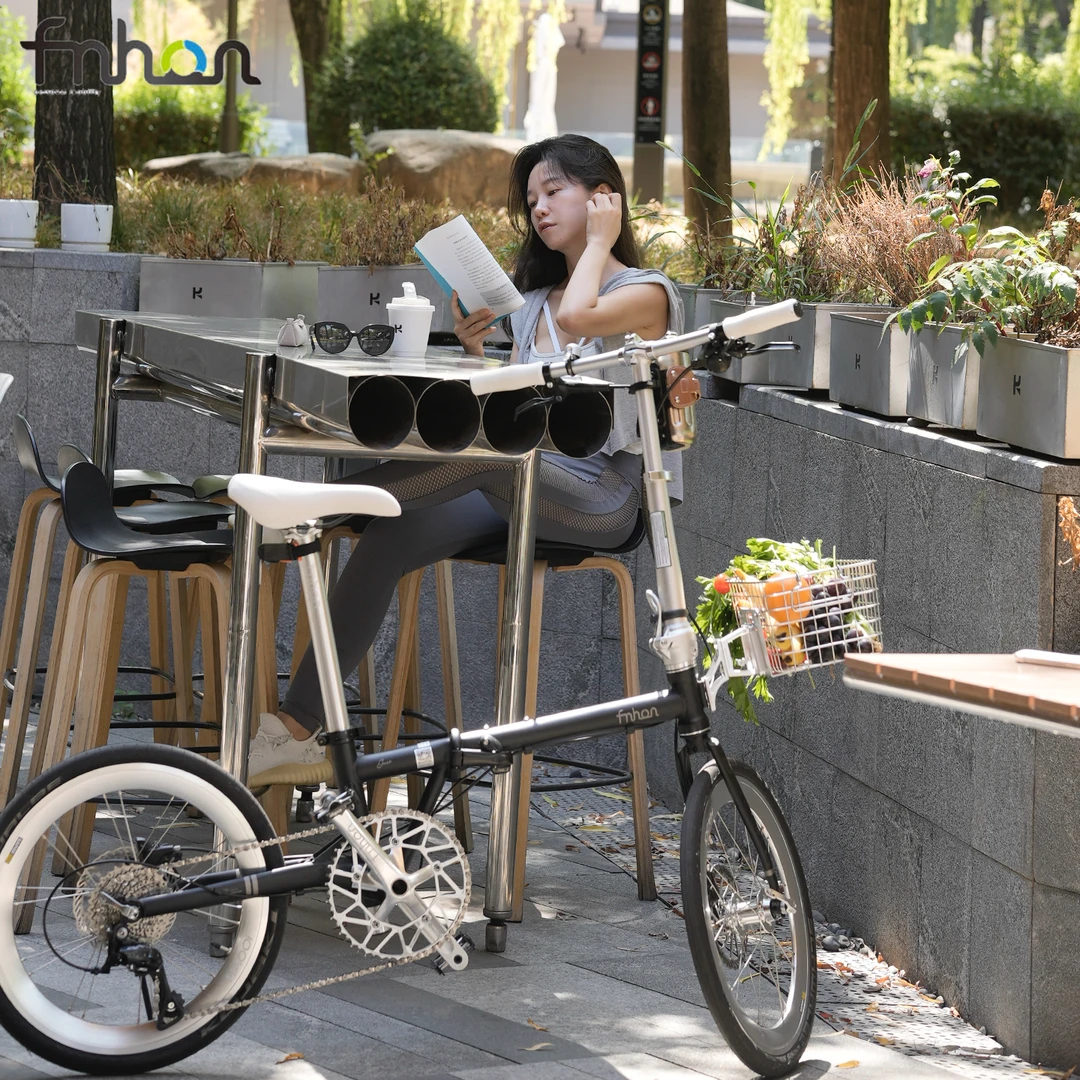 FNHON/魅力风行风行折叠车FGD2018复古钢架蚂蚁腿便携10号链接