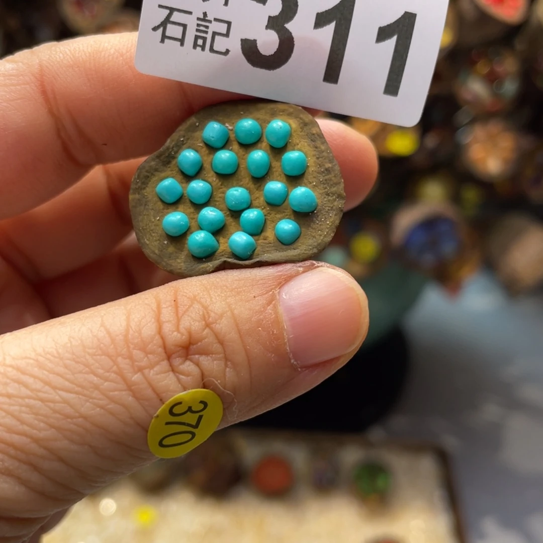 核桃木/黑胡桃（胡桃木）阳*311