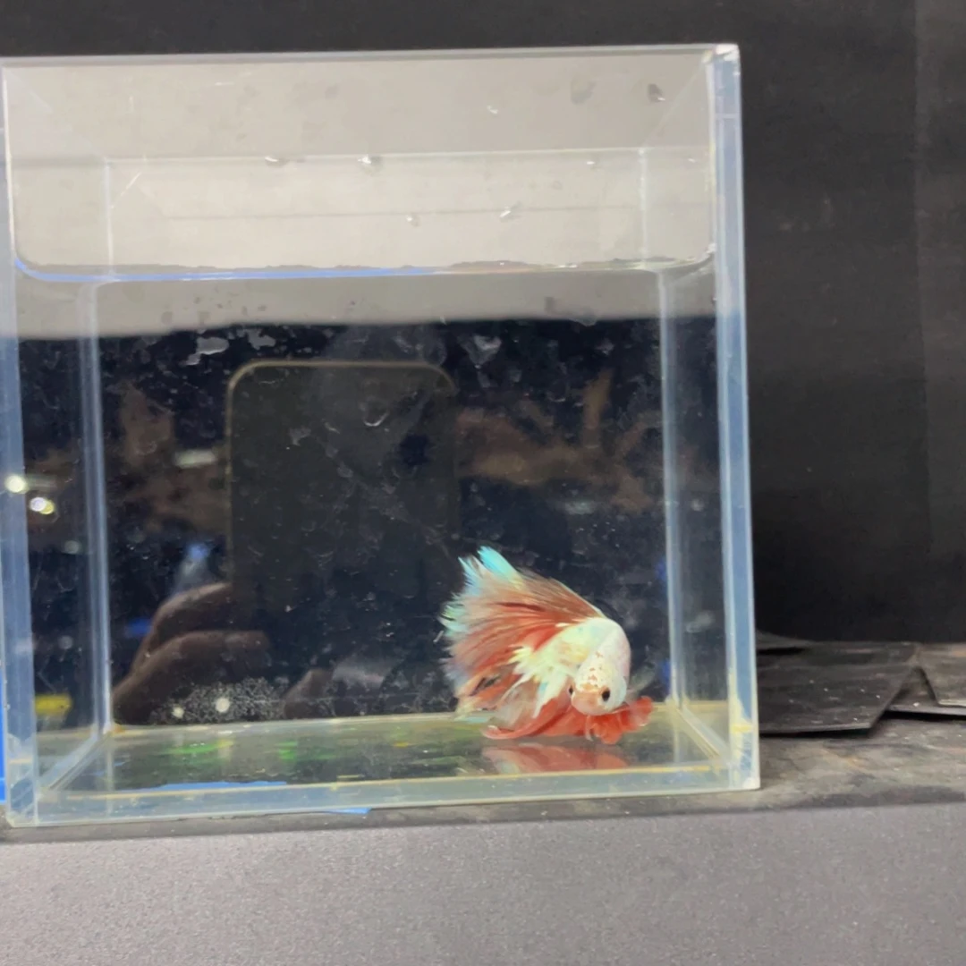 难***情海水哈哈哈哈哈哈哈哈哈