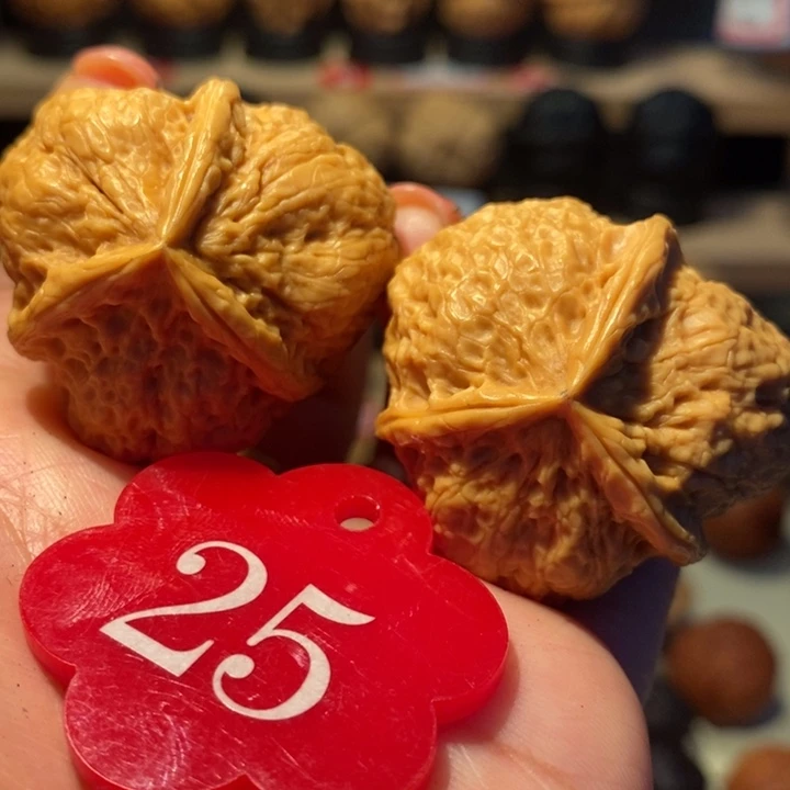 菩提籽类金玉满堂38尺寸