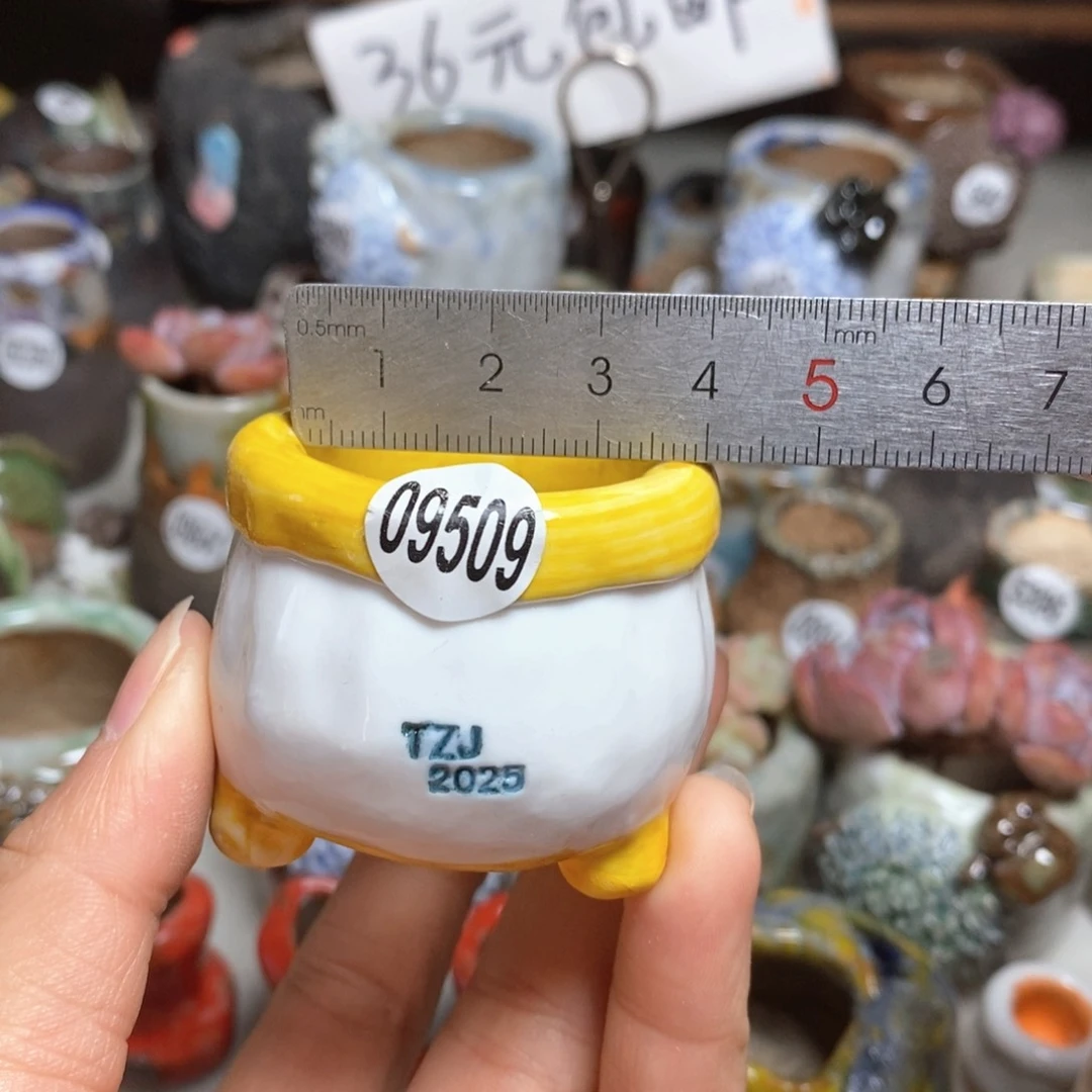 拍3送一个小礼物