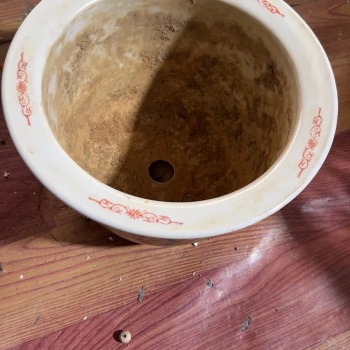 雅***趣木吃h哈哈哈哈哈哈哈哈哈