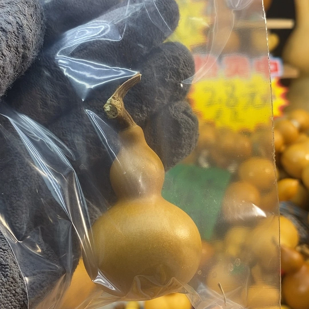 ****哟橄榄核手串/手链精品文玩葫芦随便挑