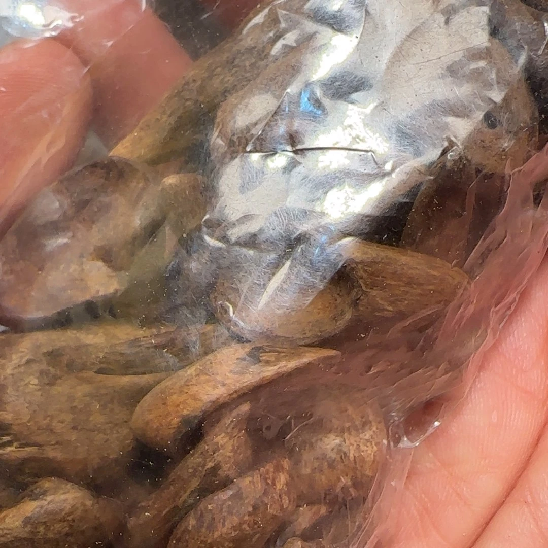 沉香碎屑沉香13.62克老惠安红土99沉