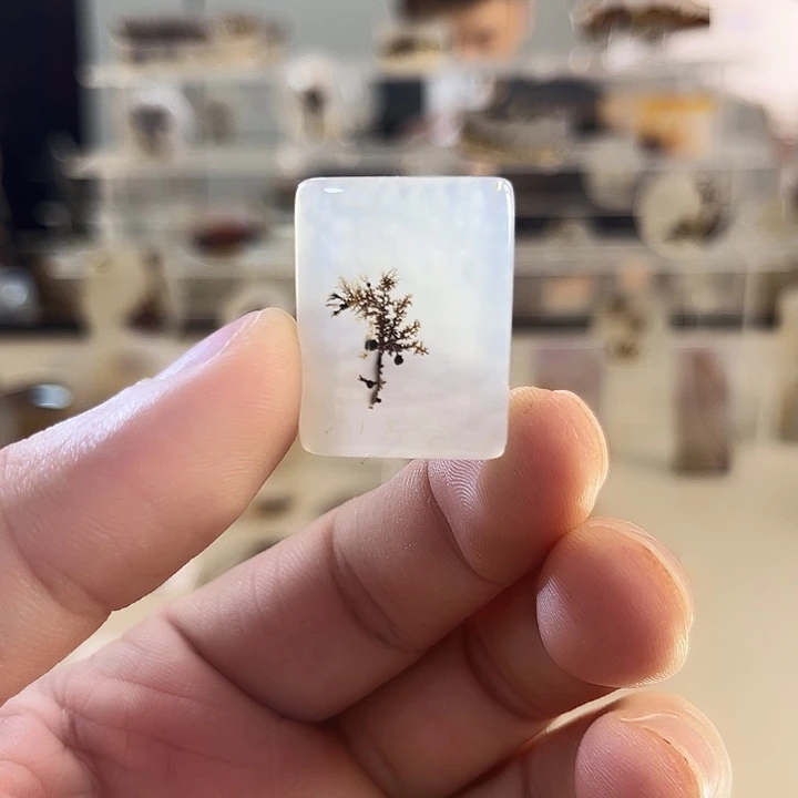 玛瑙/玉髓吊坠(不含链)未镶嵌