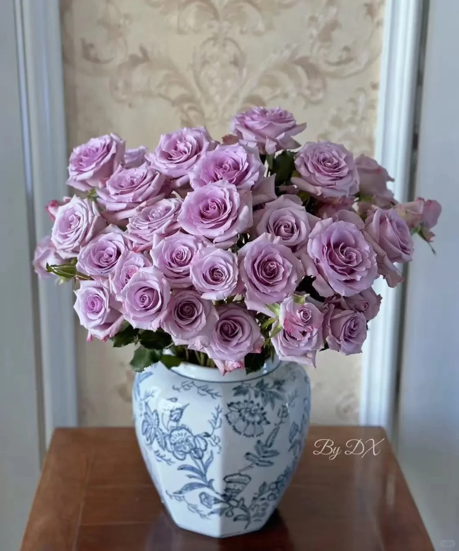 （曼曼）九星蓝狐多头玫瑰8+2支防损     2单包邮