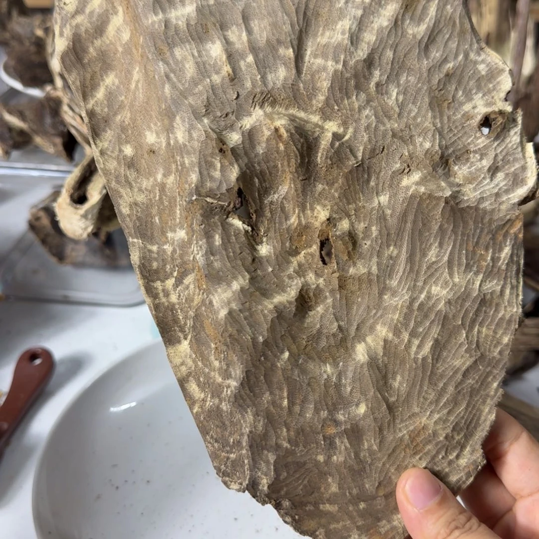 8***5沉香碎屑沉香香港黄熟香67克