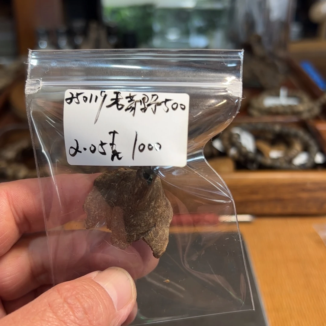 木伍 250119 老芽野 重约2.05