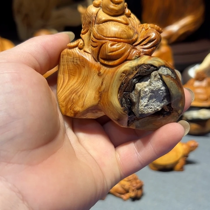 柏木（崖柏）点点关注感谢分享