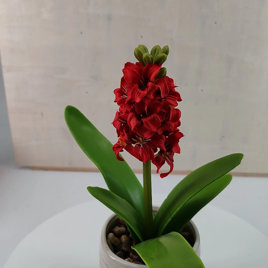 仿真红色风信子配陶瓷花盆