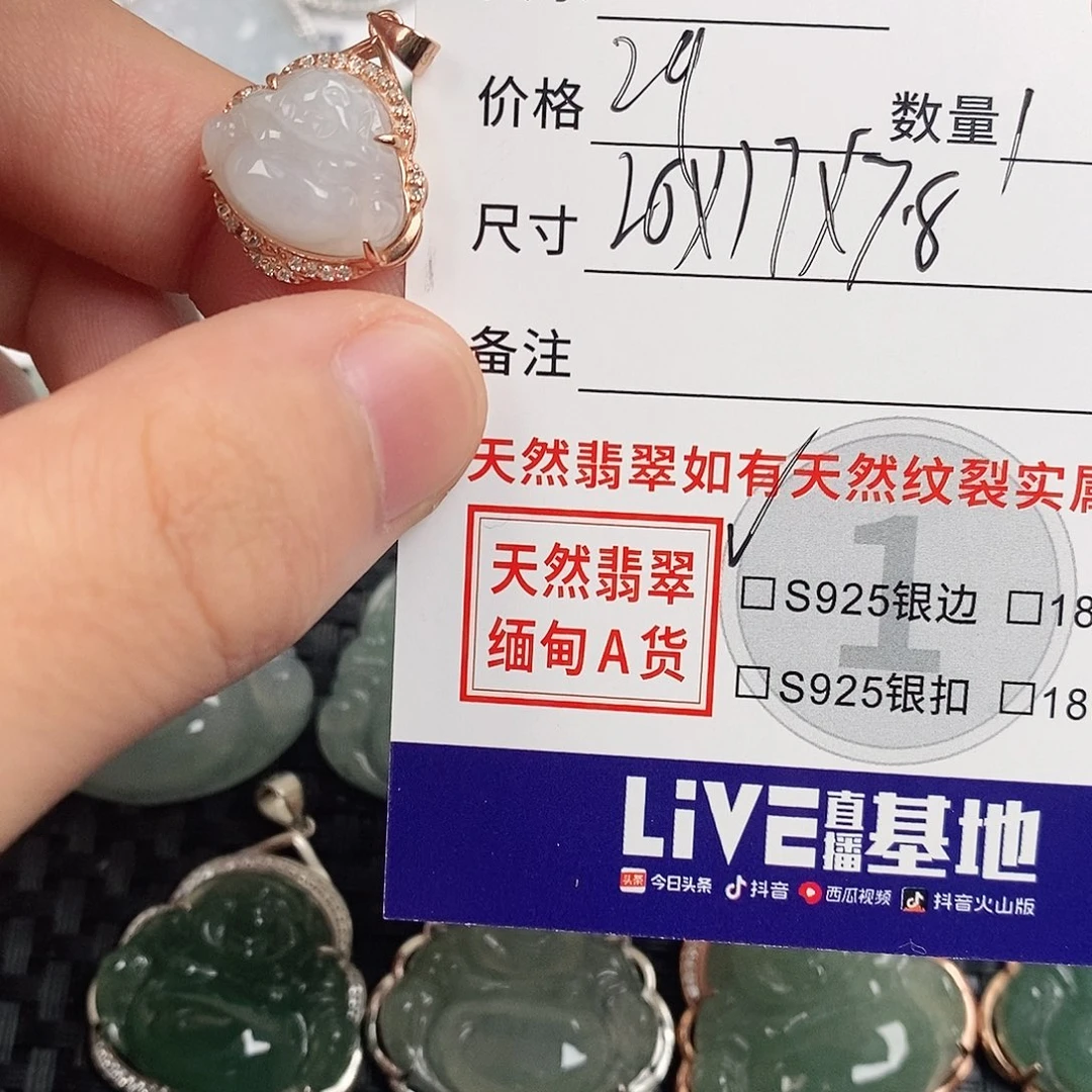 翡翠银S925镶嵌颈饰