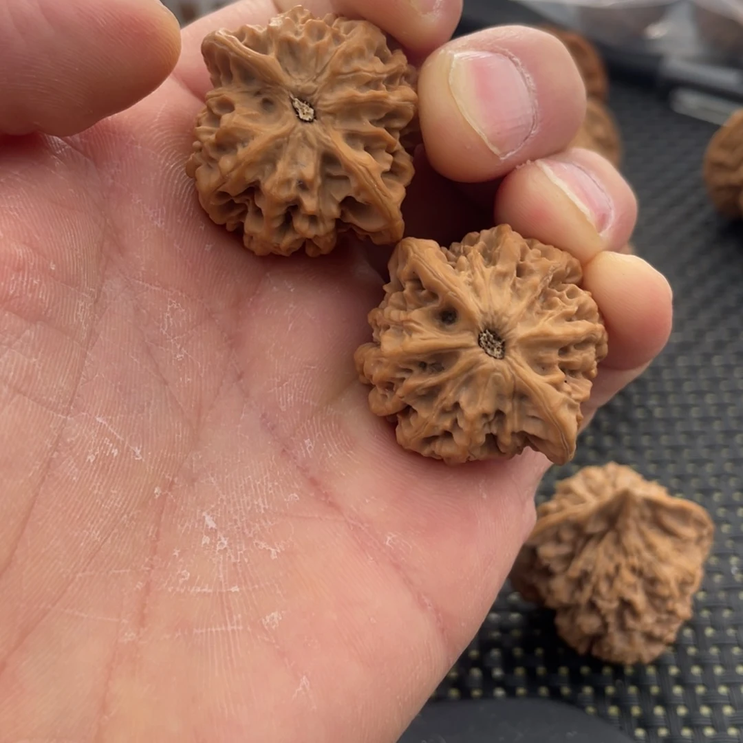 与*样秦岭小王文玩核桃