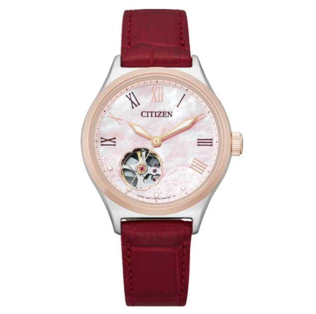 Citizen/西铁城机械女士手表PC1008-11Y