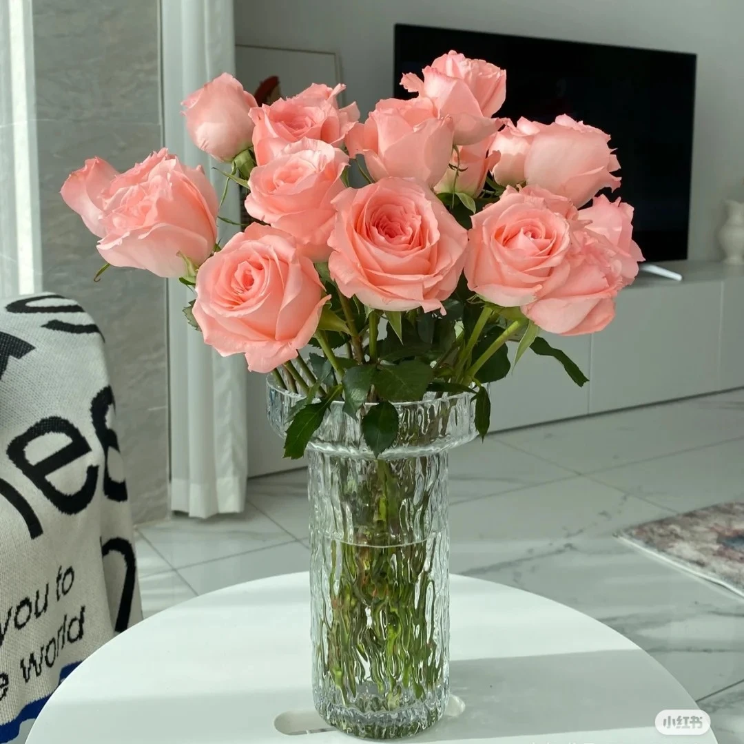 戴安娜粉玫瑰10支装 家养家居花