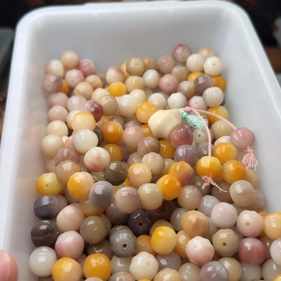 吊坠菩提根/象牙果20颗鲨鱼背13
