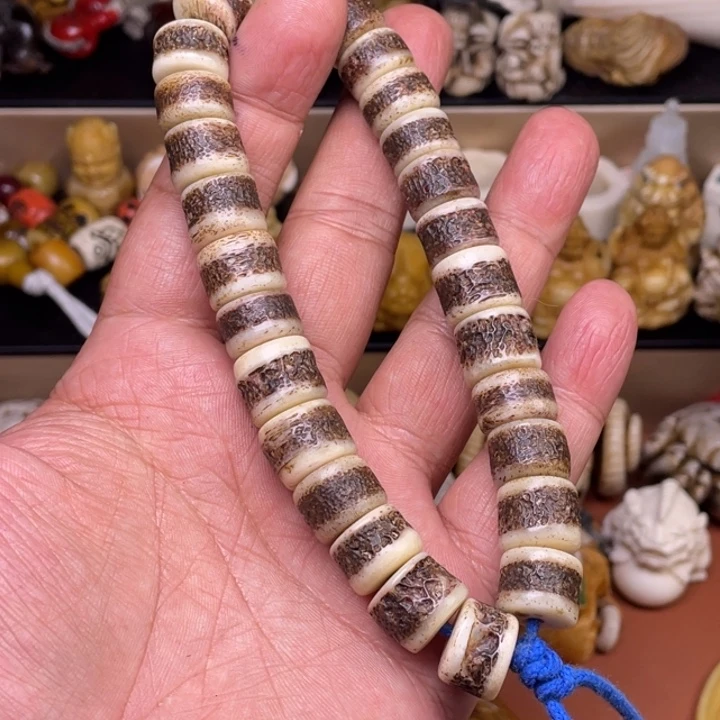 驼骨摆件人工养殖