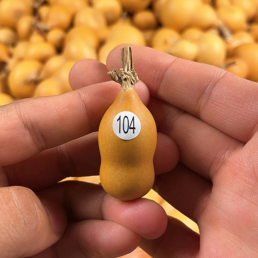 一葫芦葫芦葫芦葫芦104