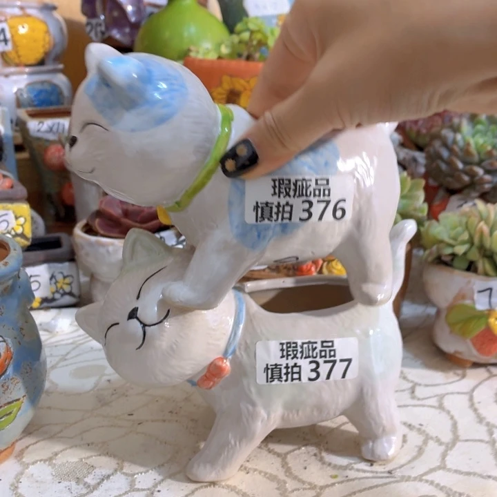 多肉花盆满15包邮