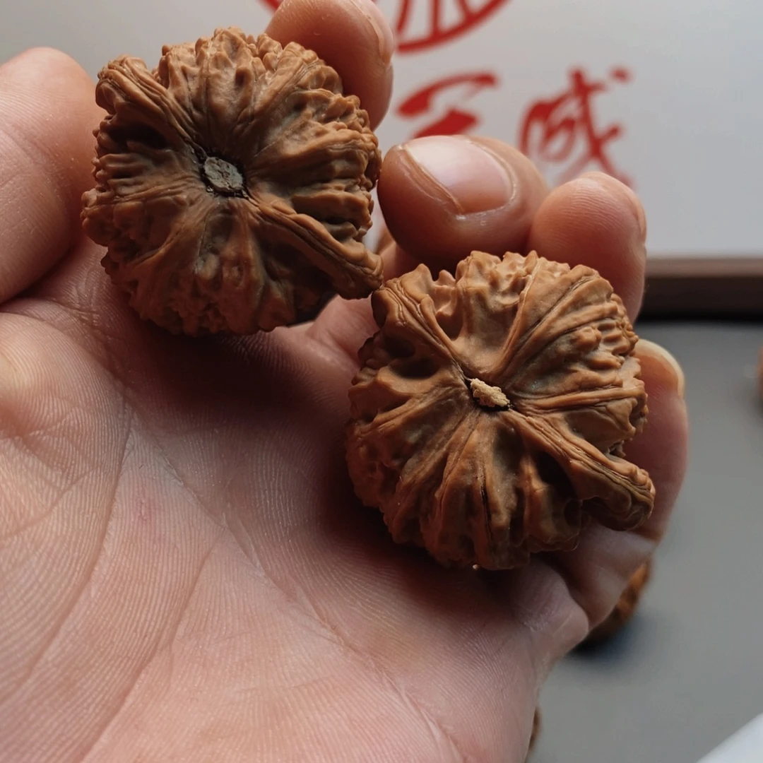 文玩核桃把件白狮子40
