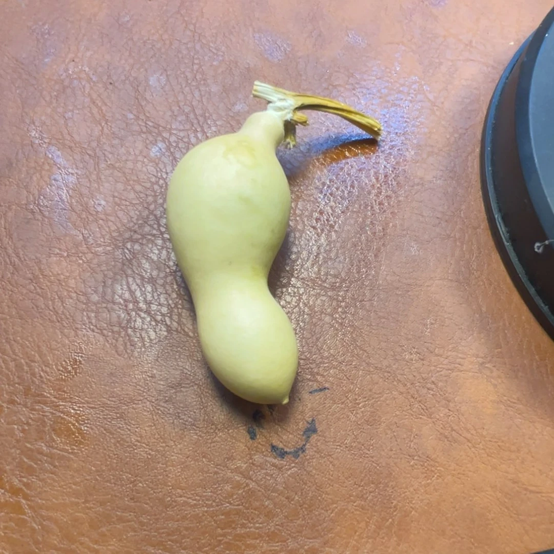 ꕥ***೨葫芦葫芦葫芦葫芦