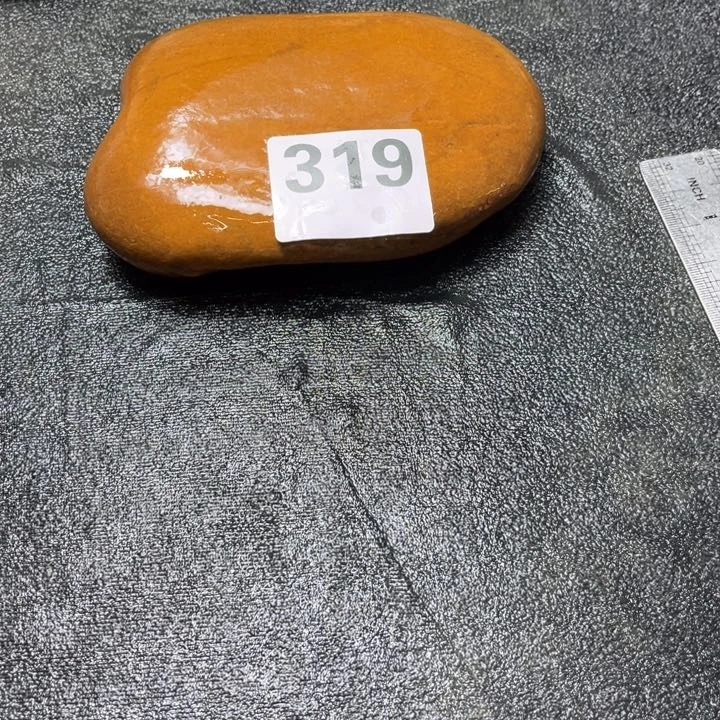 香榧木?**✨木头人和其他的