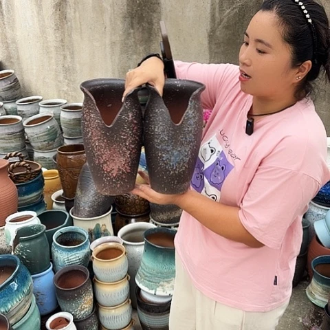 口14高26两个盆。