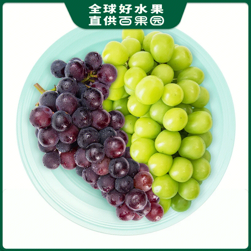 【葡提组合】甬优葡萄1kg+阳光玫瑰青提中(偏软)500g/1份约1.5kg
