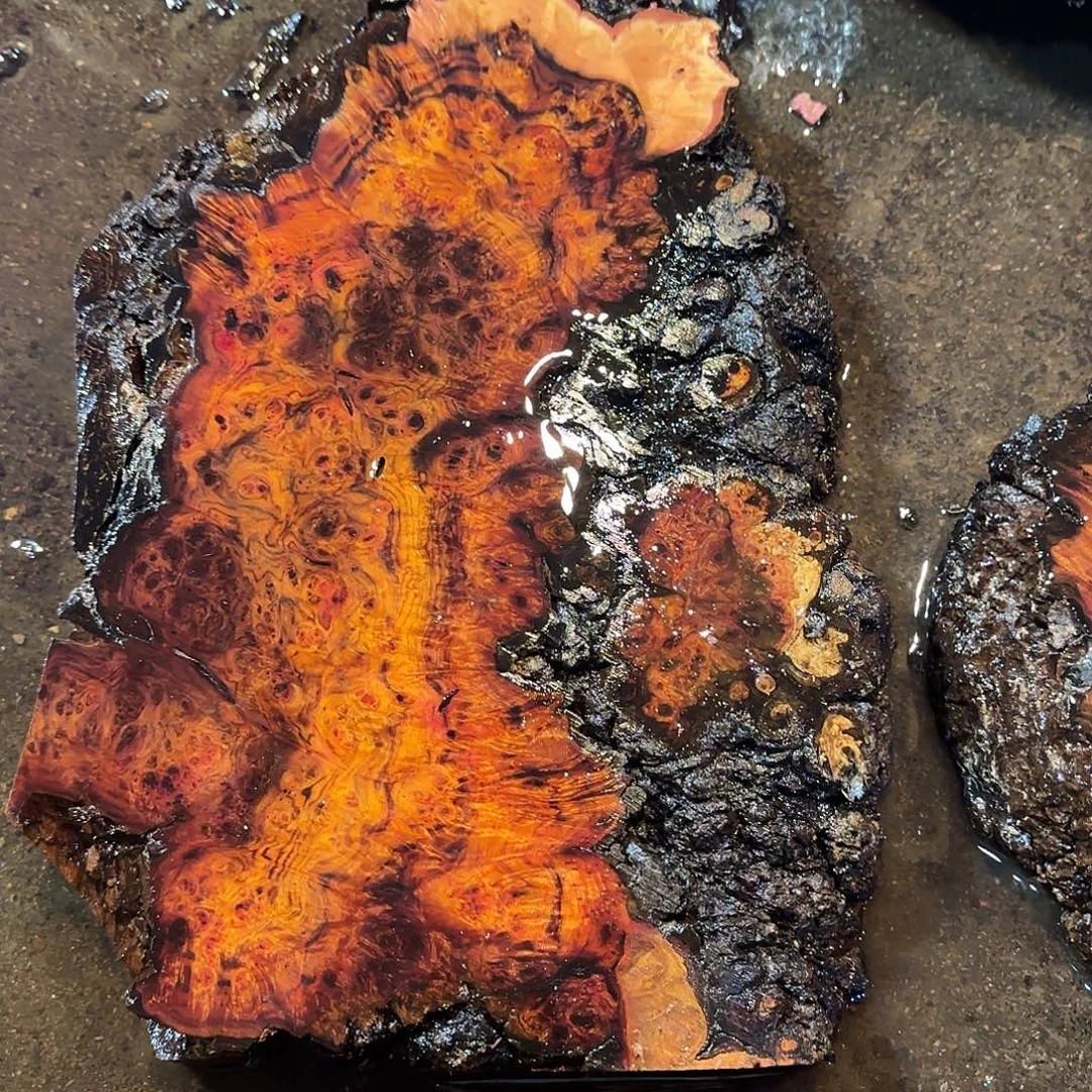 ╭***╮木贵州黄花梨树瘤定制链接