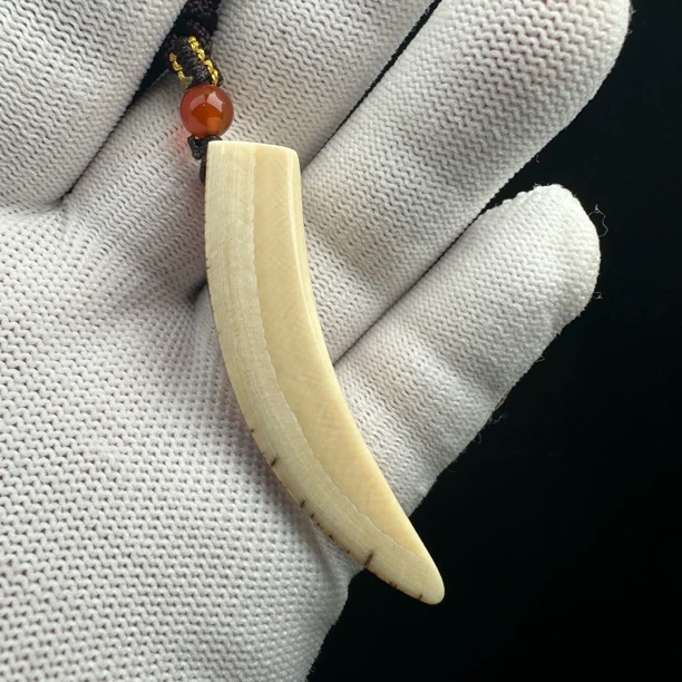 B1538天然猛犸牙带皮牙尖58mm支持鉴定 假一罚四