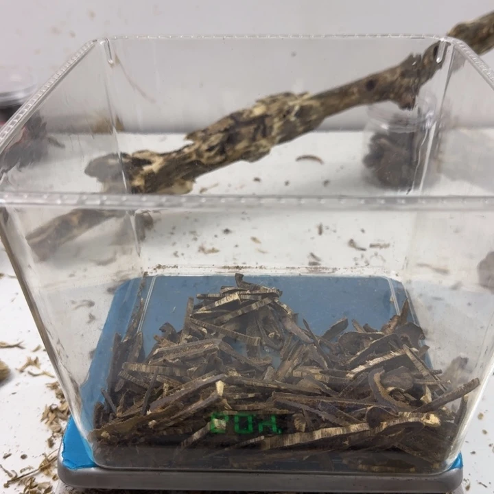 沉香碎屑沉香绿绮楠沉香30克