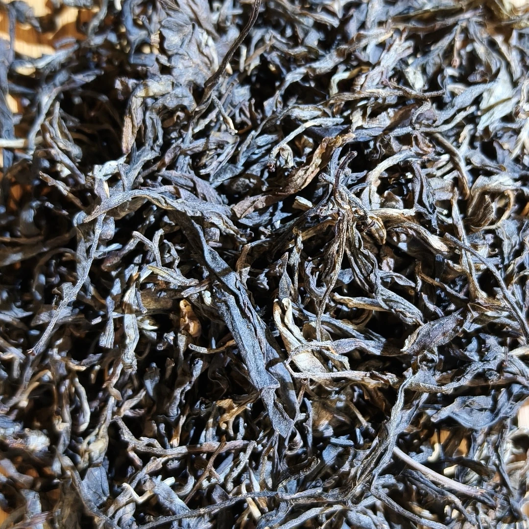 2021年白莺山头春老古树普洱生茶100g
