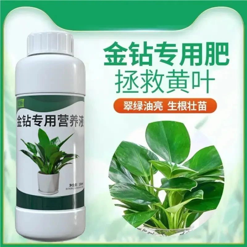 大叶金钻专用营养液肥黄叶卷边绿植通用型免稀释植物花肥料氮肥