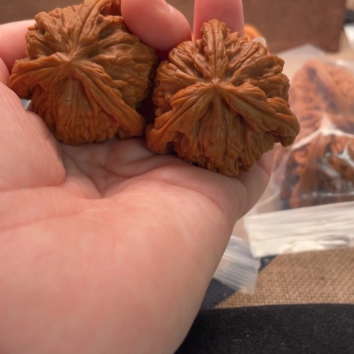 一***你核桃白狮子41核桃