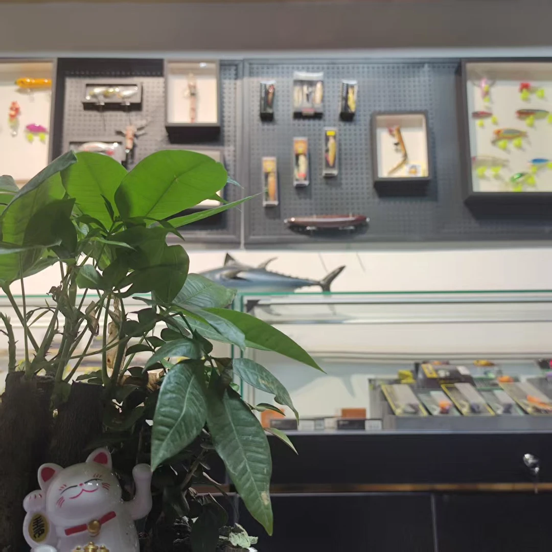 直播特惠 | 各种路亚口粮饵 | 无特殊标注发两个 | 颜色随机