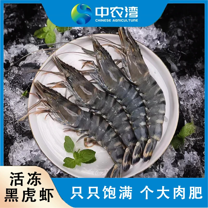 中农湾活冻黑虎虾3斤/盒肉质鲜美个大肉肥 单只速冻 新鲜无冰品质