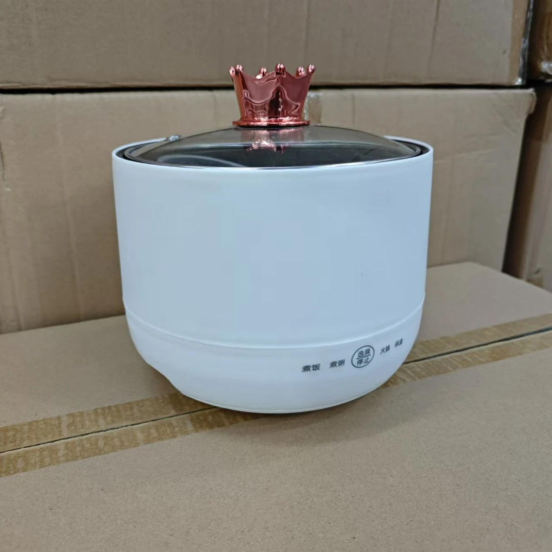小型宿舍1-2人电煮锅2