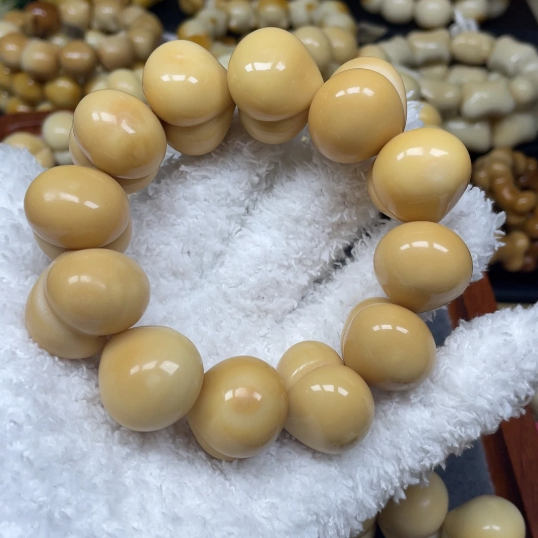 ****ღ吊坠菩提根/象牙果9.16.20瑕屁桃