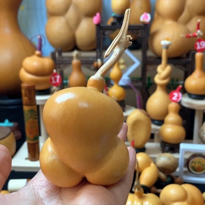 啊***火这里也很重要很美好
