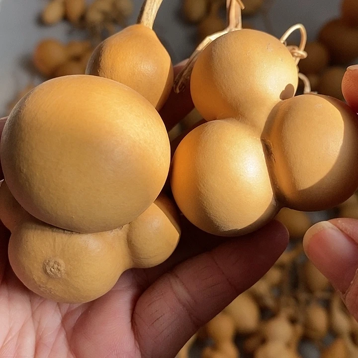 葫芦微瑕的小葫芦