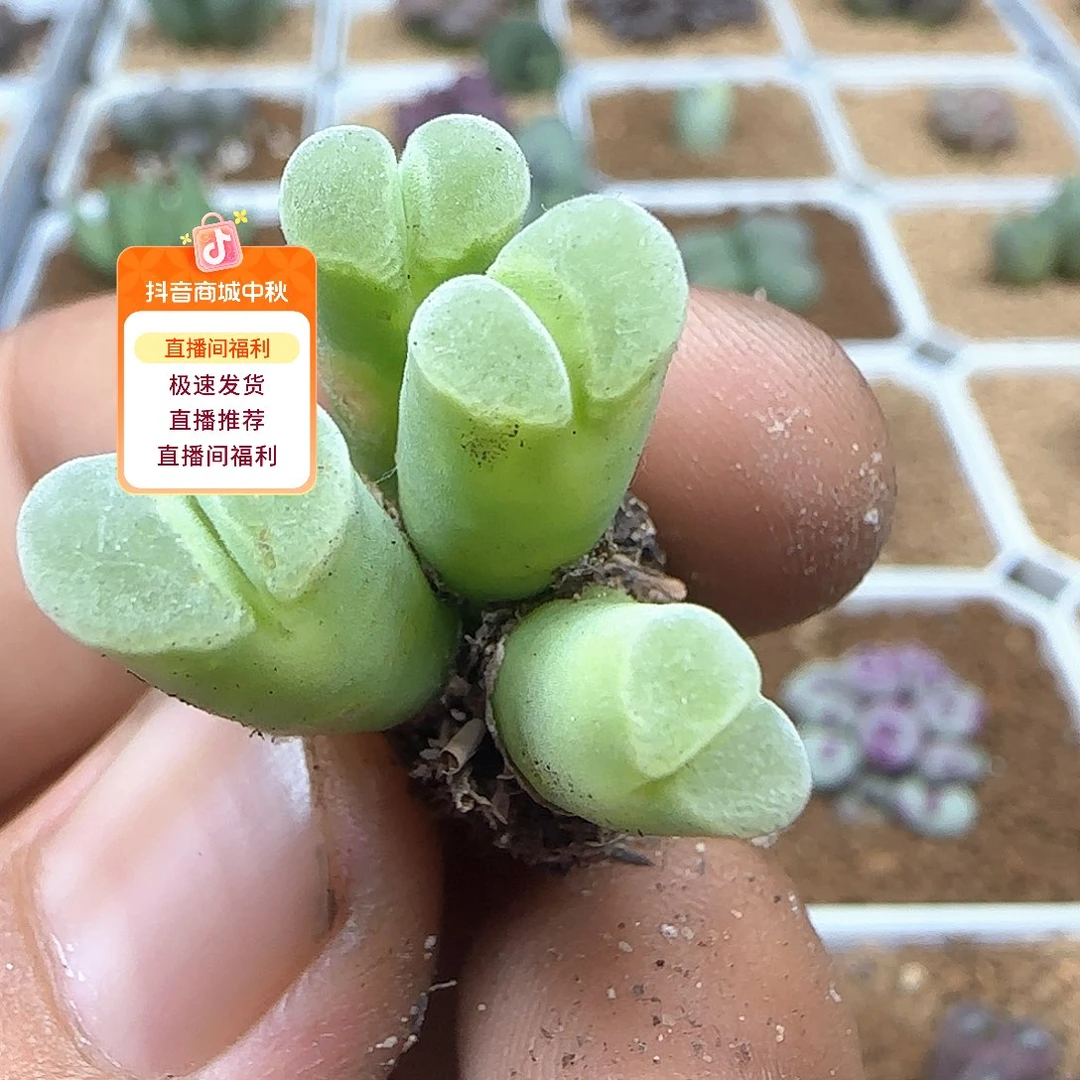 哈哈哈哈哈哈哈53498