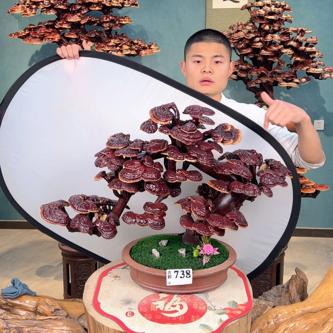 无花朵88888888888