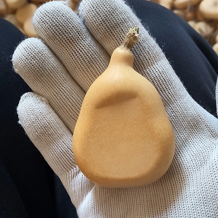 用***道天然植物葫芦瑕疵品