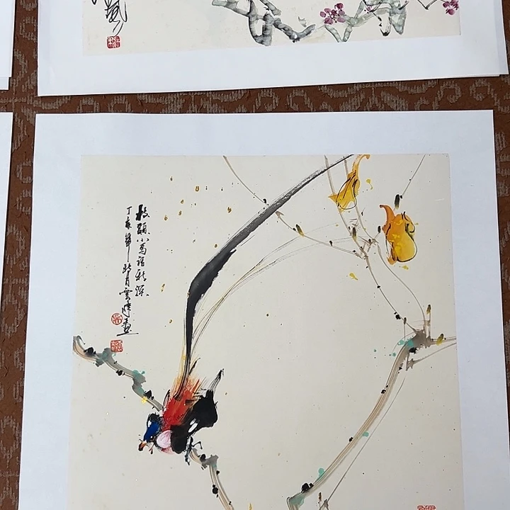 国画国画 新号开播 全场低价交朋友